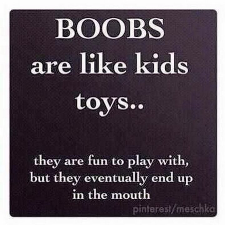 69 Inappropriate Memes - "Boobs are like kids' toys...They are fun to play with but they eventually end up in the mouth."