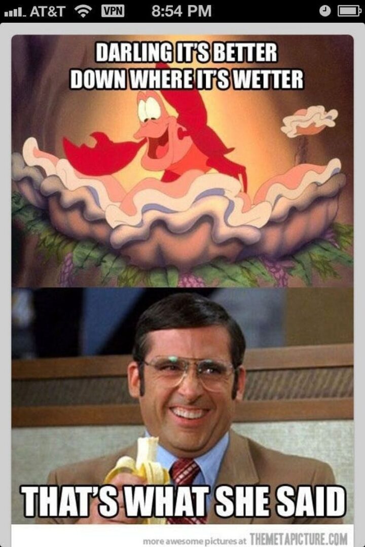 69 Inappropriate Memes - "Darling, it's better down where it's wetter. That's what she said."
