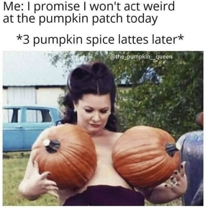 "Me: I promise I won't act weird at the pumpkin patch today *3 pumpkin spice lattes later*"