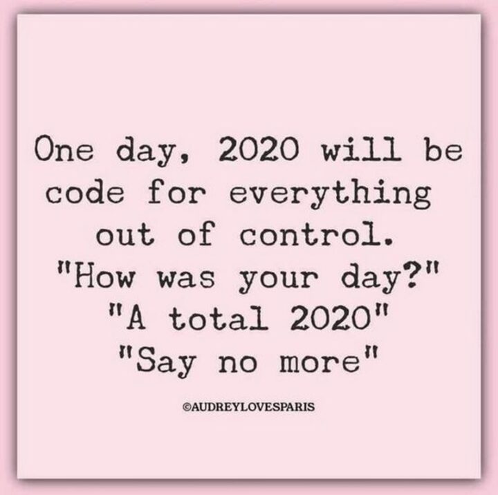 "One day, 2020 will be code for everything out of control. 'How was your day?' 'A total 2020'. 'Say no more.'"