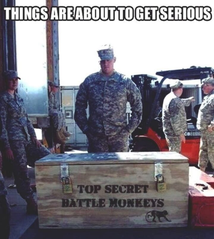 "Top secret battle monkeys. Things are about to get serious."
