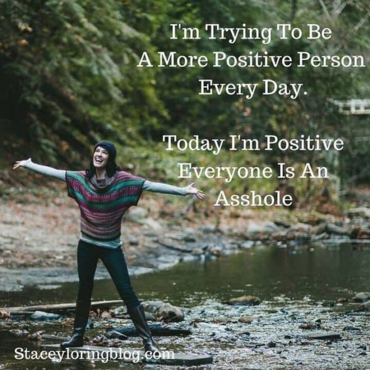"I'm trying to be a more positive person every day. Today I'm positive everyone is an [censored]."