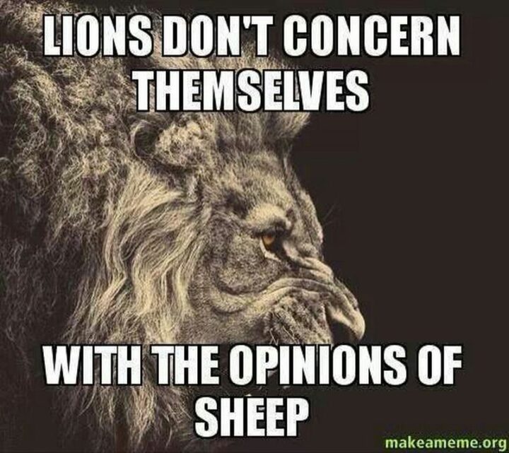 "Lions don’t concern themselves with the opinion of sheep."