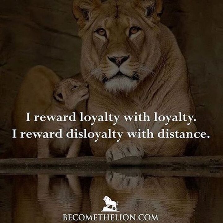 "I reward loyalty with loyalty. I reward disloyalty with distance."