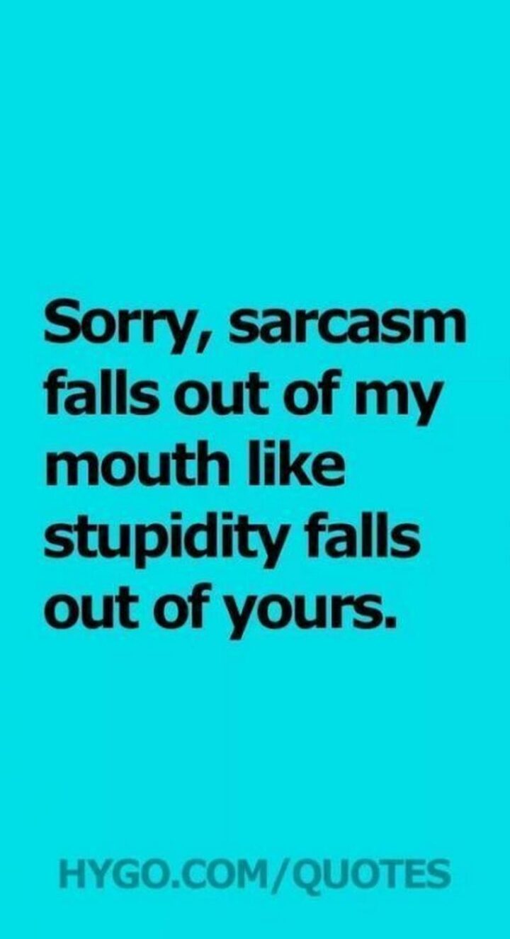 "Sorry, sarcasm falls out of my mouth like stupidity falls out of yours."