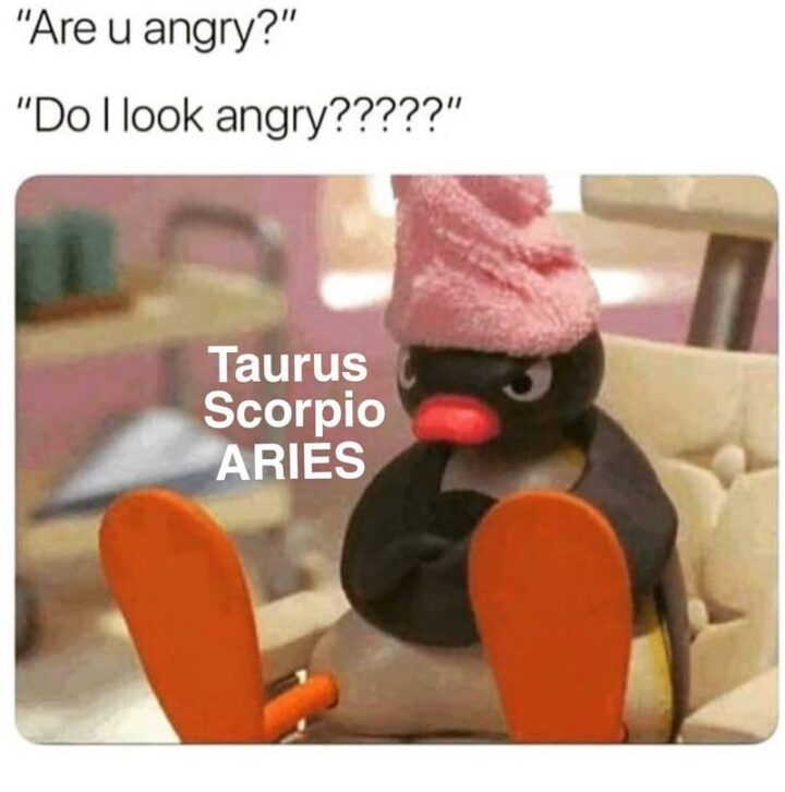 "Are u angry? Do I look angry????? Taurus, Scorpio, Aries."