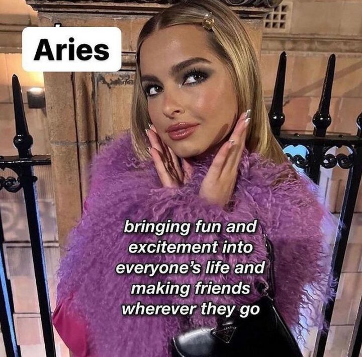 "Aries: Bringing fun and excitement into everyone's life and making friends wherever they go."
