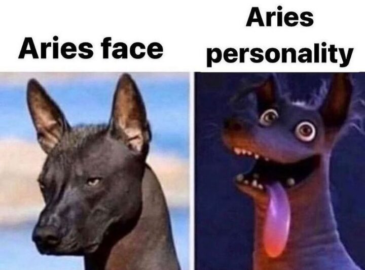 "Aries' face. Aries personality."