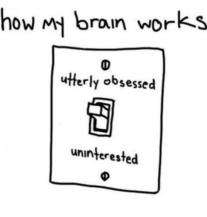 "How my brain works: Utterly obsessed. Uninterested."