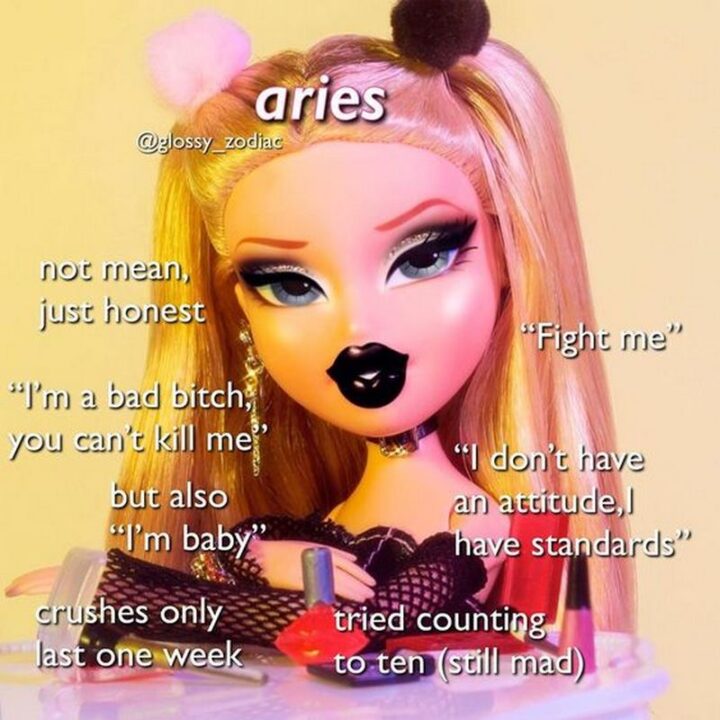 "Aries: Not mean, just honest. I'm a bad [censored], you can't kill me. But also I'm a baby. Crushes only last one week. Tried counting to ten (still mad). I don't have an attitude, I have standards. Fight me."