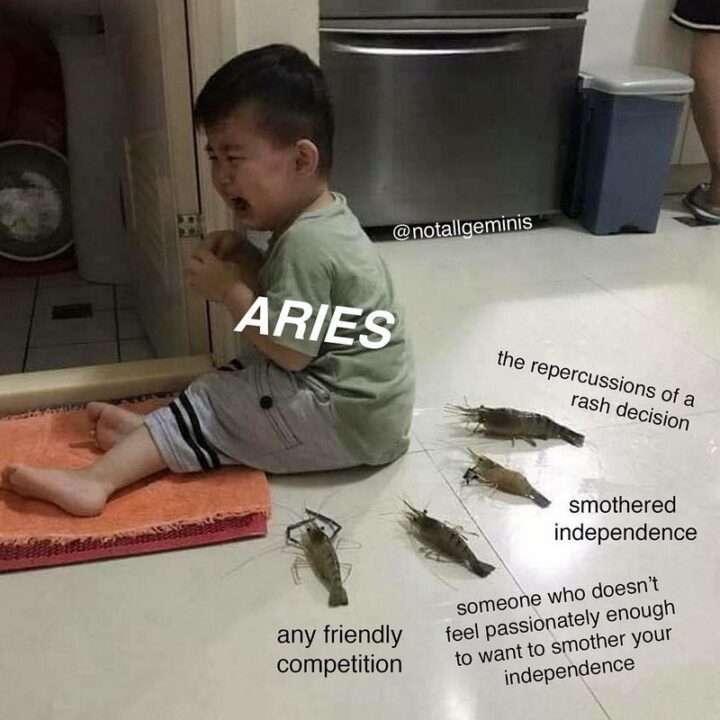 "Aries: The repercussions of a rash decision. Smothered independence. Someone who doesn't feel passionately enough to want to smother your independence. Any friendly competition."
