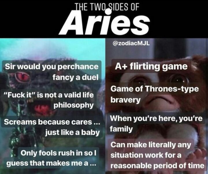 "The two sides of Aries. Sir would you perchance fancy a duel. [censored] is not a valid life philosophy. Screams because cares...Just like a baby. Only fools rush in so I guess that makes me a fool. A+ flirting game. Game of Thrones-type bravery. When you're here, you're family. Can make literally any situation work for a reasonable period of time.