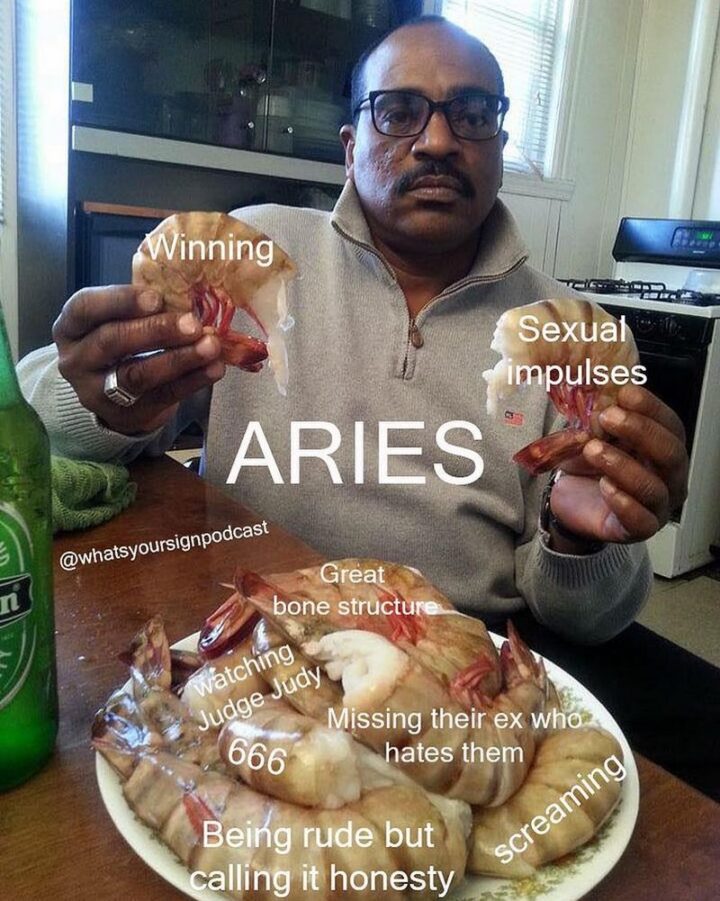"Aries: Winning. Sexual impulses. Great bone structure. Watching Judge Judy. Missing their ex who hates them. Screaming. Being rude but calling it honesty."