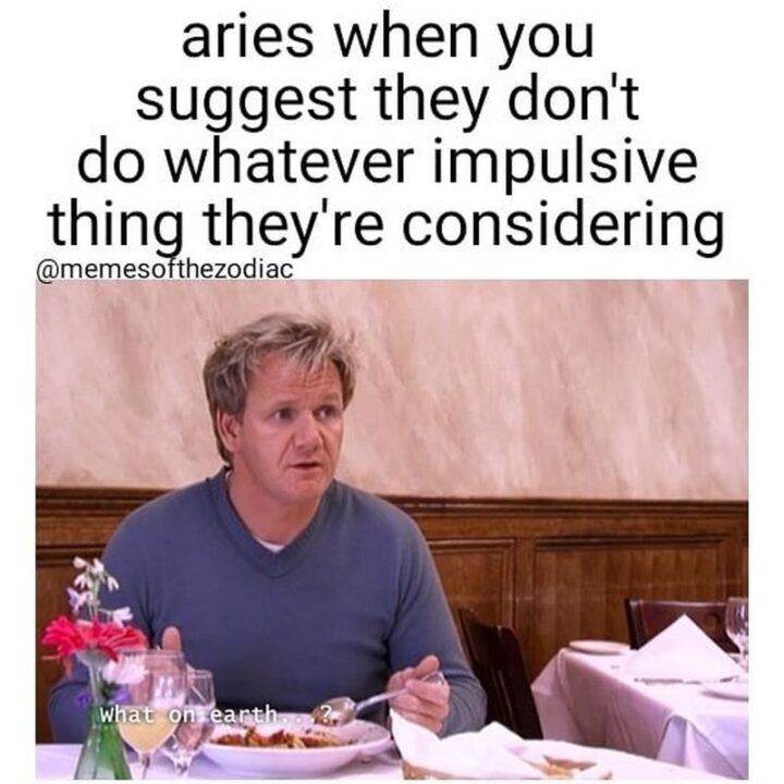 "Aries when you suggest they don't do whatever impulsive thing they're considering: What on earth...?"