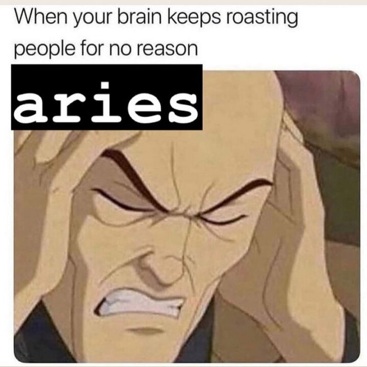 "Aries: When your brain keeps roasting people for no reason."