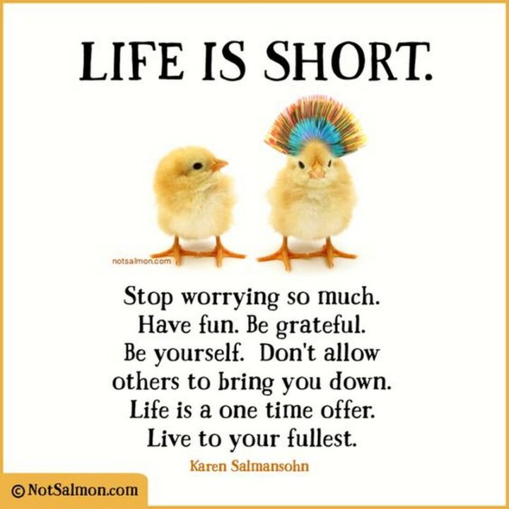 "Life is short. Stop worrying so much. Have fun. Be grateful. Be yourself. Don’t allow others to bring you down. Life is a one-time offer. Life to your fullest." - Karen Salmansohn