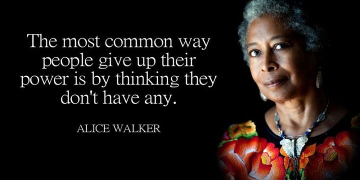 "The most common way people give up their power is by thinking they don’t have any." - Alice Walker