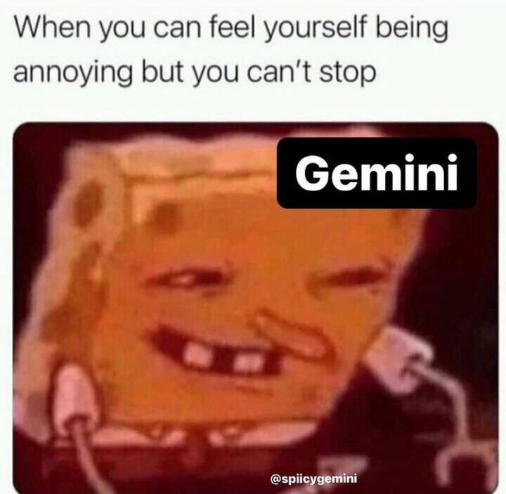 "When you can feel yourself being annoying but you can't stop. Gemini."