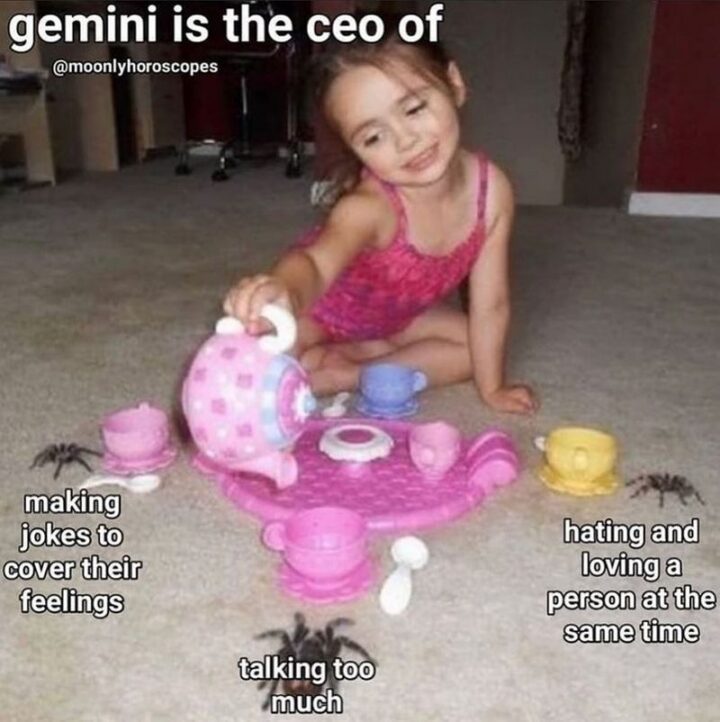 "Gemini is the CEO of making jokes to cover their feelings, talking too much, and hating and loving a person at the same time."