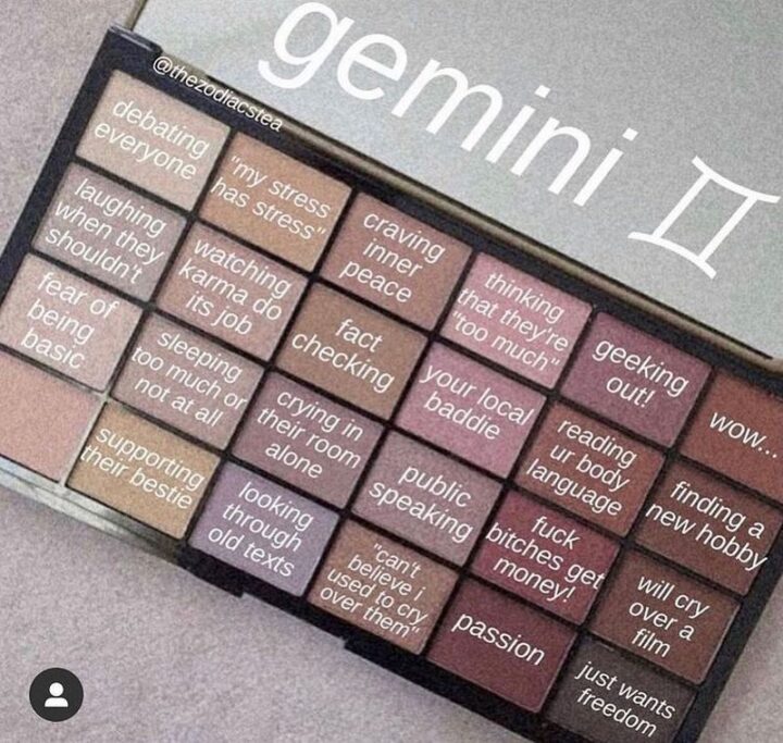 Gemini: Debating everyone. My stress has stress. Craving inner peace. Thinking that they're too much. Geeking out! Wow...Laughing when they shouldn't. Watching karma do its job. Fact-checking. Your local baddie. Reading ur body language. Finding a new hobby. Fear of being basic. Sleeping too much or not at all. Crying in their room alone. Public speaking. [censored] get money! I will cry over a film. Supporting their bestie. Looking through old texts. Can't believe I used to cry over them. Passion. Just wants freedom."