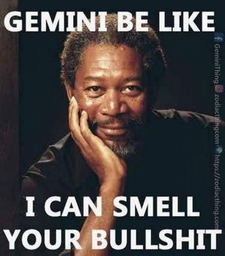"Gemini be like...I can smell your [censored]."