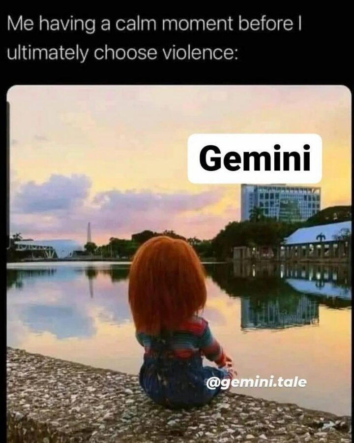 "Me having a calm moment before I ultimately choose violence: Gemini."