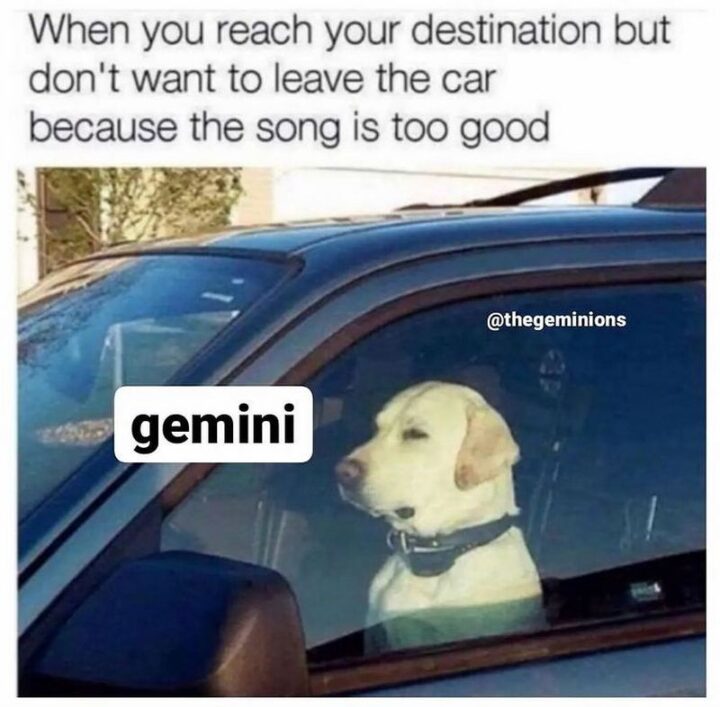 "When you reach your destination but don't want to leave the car because the song is too good. Gemini."