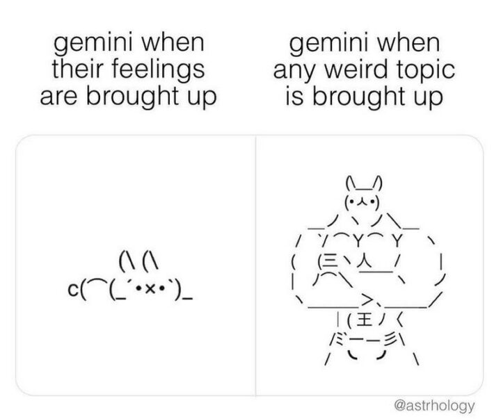 "Gemini when their feelings are brought up. Gemini when any weird topic is brought up."