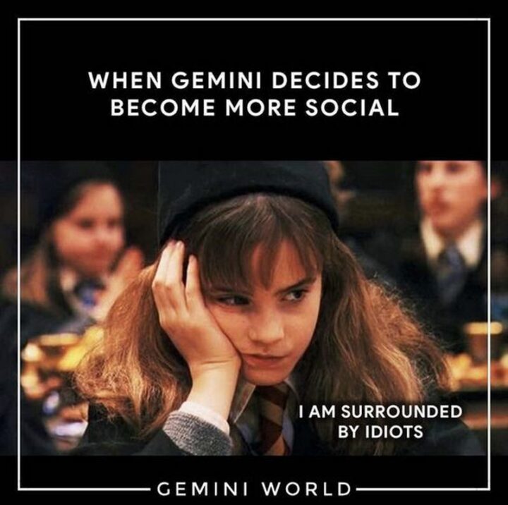 "When Gemini decides to become more social: I am surrounded by idiots."