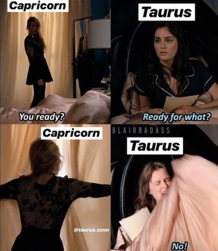 "Capricorn: You ready? Taurus: Ready for what? Capricorn: *opening curtains* Taurus: No!"