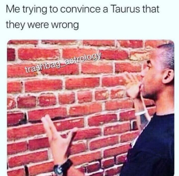 "Me trying to convince a Taurus that they were wrong."