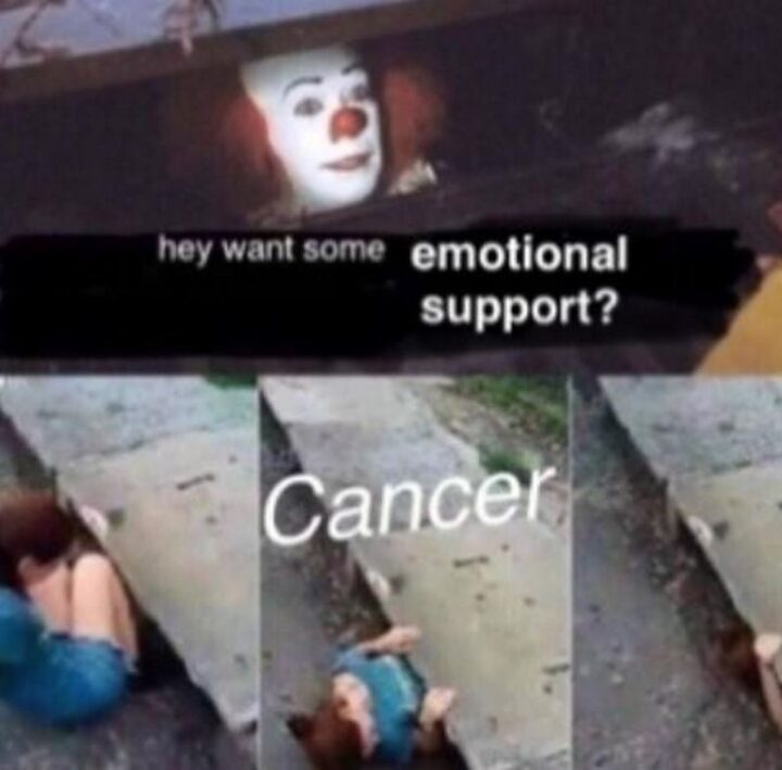 "Hey, want some emotional support? Cancer."