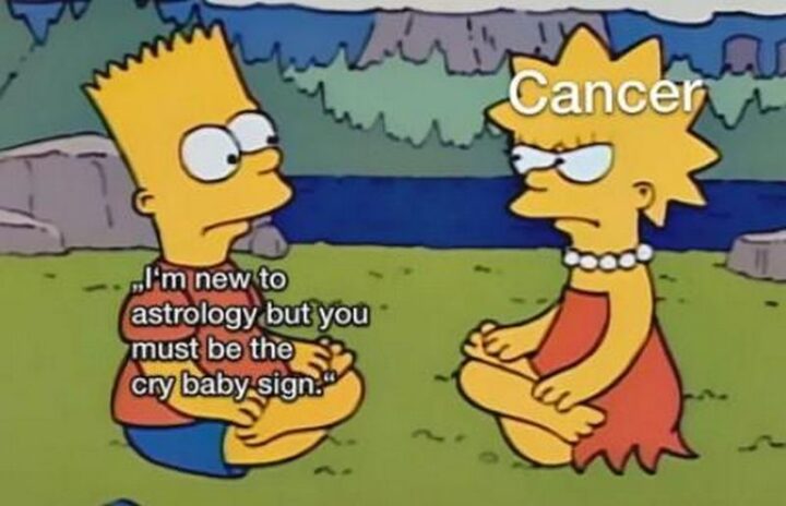 "I'm new to astrology but you must be the cry baby sign. Cancer."