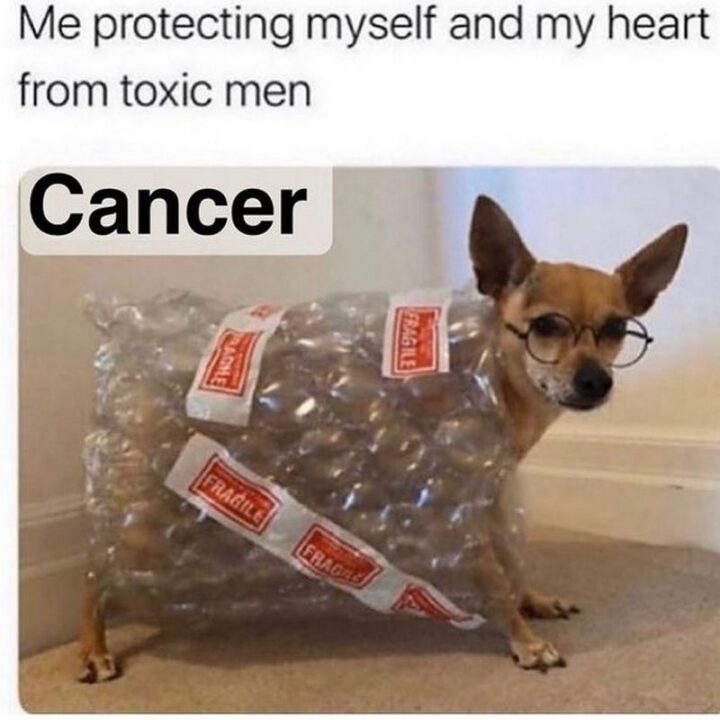 "Me protecting myself and my heart from toxic men. Cancer."