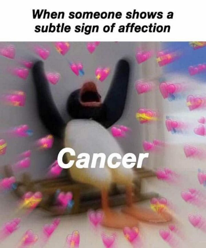 "When someone shows a subtle sign of affection. Cancer."