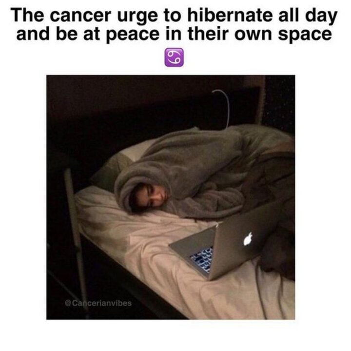 "The Cancer urge to hibernate all day and be at peace in their own space."