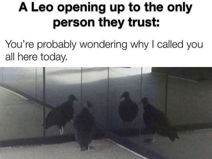 "A Leo opening up to the only person they trust: You're probably wondering why I called you all here today."