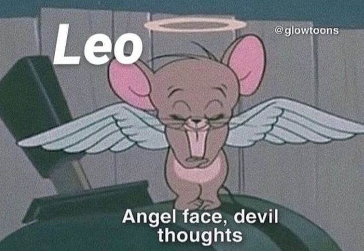 "Leo: Angel face, devil thoughts."