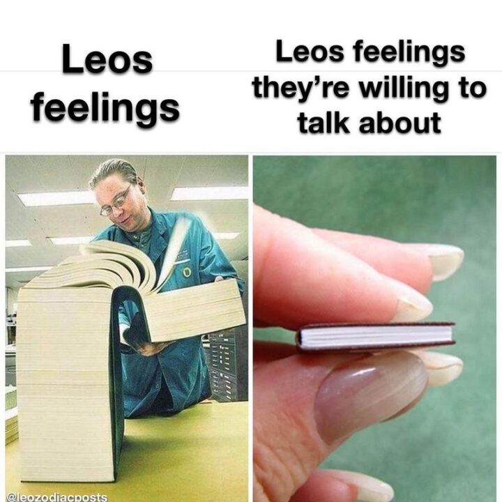 "Leos feelings. Leos feelings they're willing to talk about."