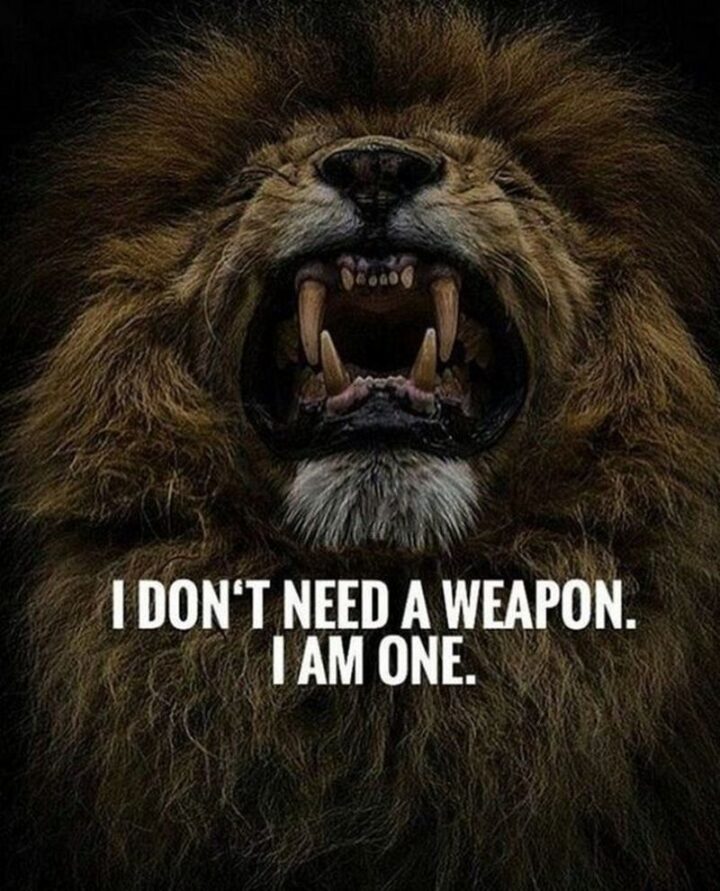 "I don't need a weapon. I am one."