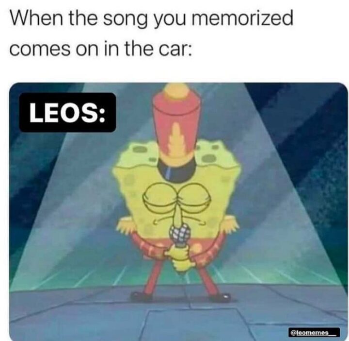 "When the song you memorized comes on in the car: Leos:"