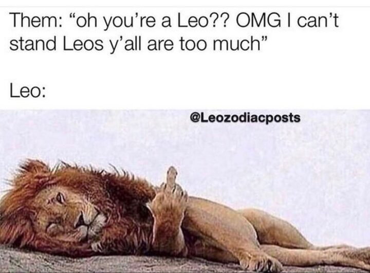 "Them: Oh you're a Leo?? OMG, I can't stand Leos y'all are too much. Leo:"