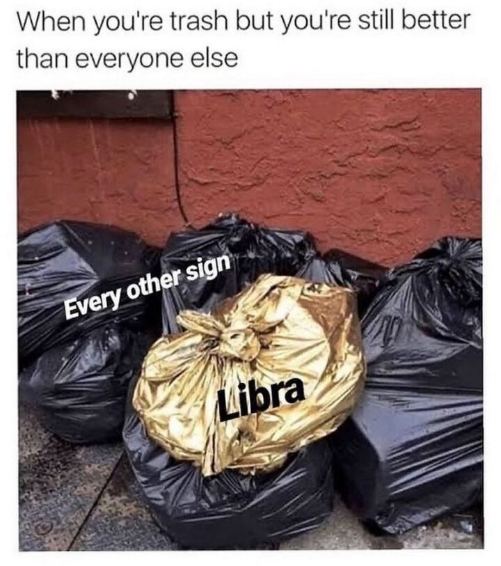 "When you're trash but you're still better than everyone else. Every other sign. Libra."