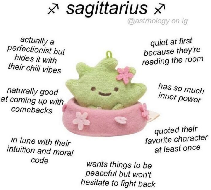 "Sagittarius: Actually a perfectionist but hides it with their chill vibes. Quiet at first because they're reading the room. Naturally good at coming up with comebacks. Has so much inner power. Quoted their favorite character at least once. In tune with their intuition and moral code. Wants things to be peaceful but won't hesitate to fight back."