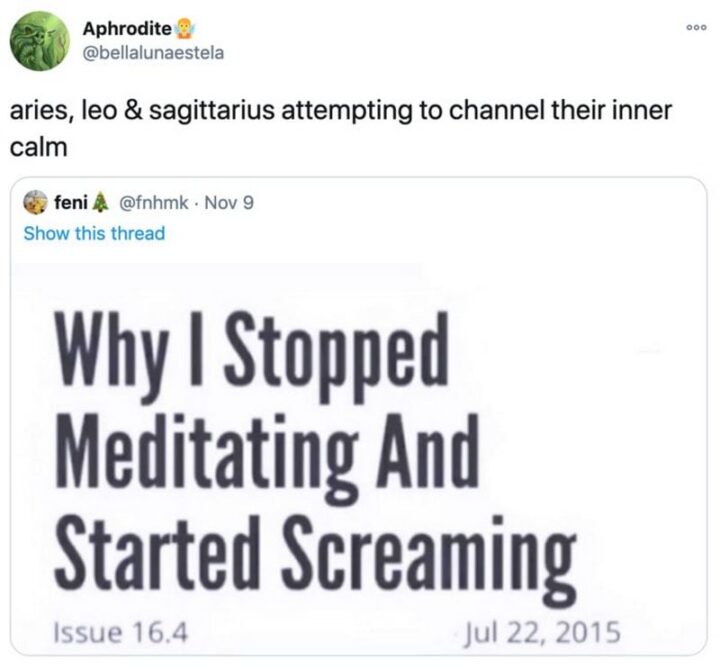 "Aries, Leo and Sagittarius attempting to channel their inner calm: Why I stopped meditating and started screaming."