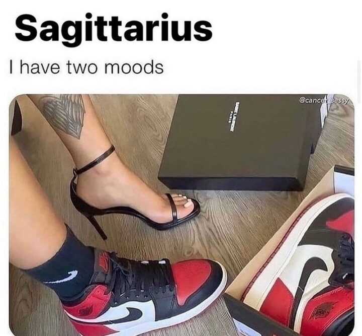 "Sagittarius: I have two moods."