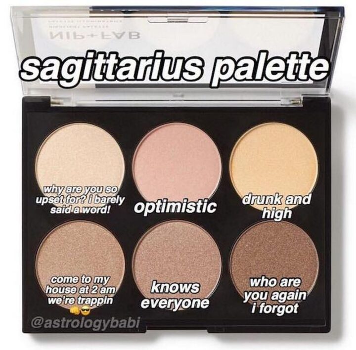 "Sagittarius palette: Why are you so upset for? I barely said a word! Optimistic. Drunk and high. Come to my house at 2 am we're trapping. Knows everyone. Who are you again I forgot."