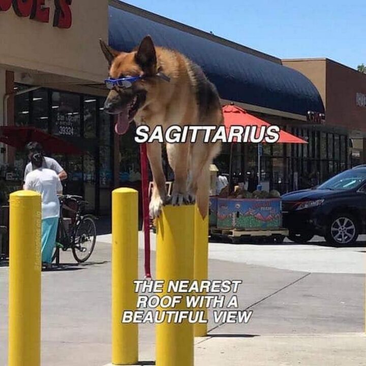 "Sagittarius. The nearest roof with a beautiful view."