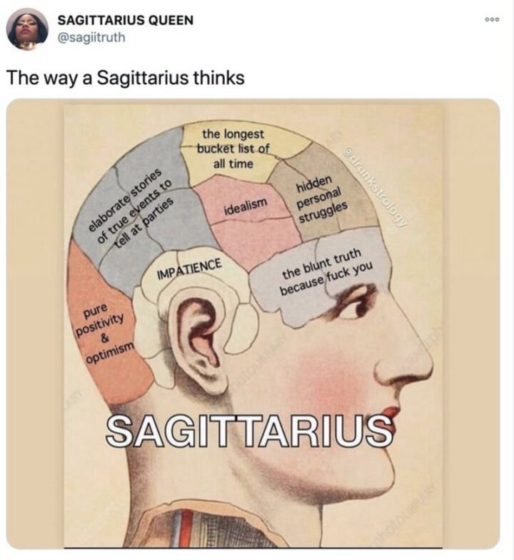 "The way a Sagittarius thinks: Pure positivity and optimism. Elaborate stories of true events to tell at parties. The longest bucket list of all time. Hidden personal struggles. Idealism. Impatience. The blunt truth because [censored] you."