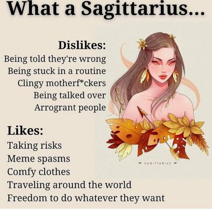 "What's a Sagittarius...Dislikes: Being told they're wrong. Being stuck in a routine. Clingy [censored]. Being talked over. Arrogant people. Likes: Taking risks. Meme spasms. Comfy clothes. Traveling around the world. Freedom to do whatever they want."